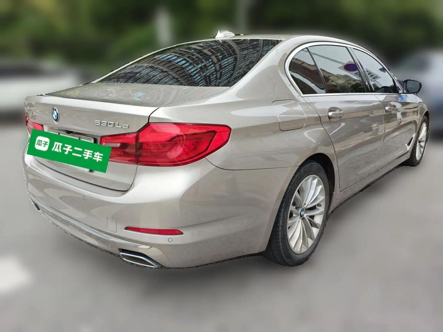 BMW 5 Series New Energy 2020 Mileage Upgrade Version 530Le Luxury Package — миниатюра 6