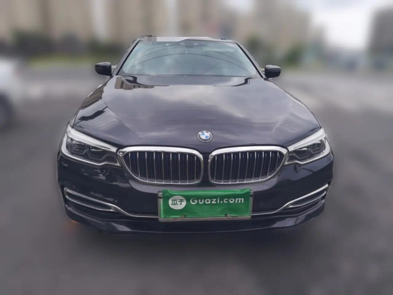 BMW 5 Series New Energy 2019 Updated Version 530Le Luxury Package — миниатюра 2