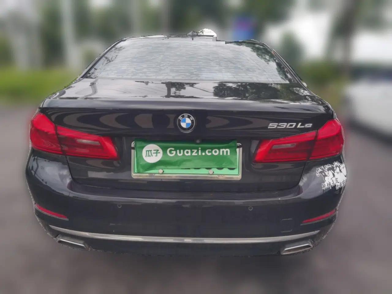 BMW 5 Series New Energy 2019 Updated Version 530Le Luxury Package — миниатюра 5