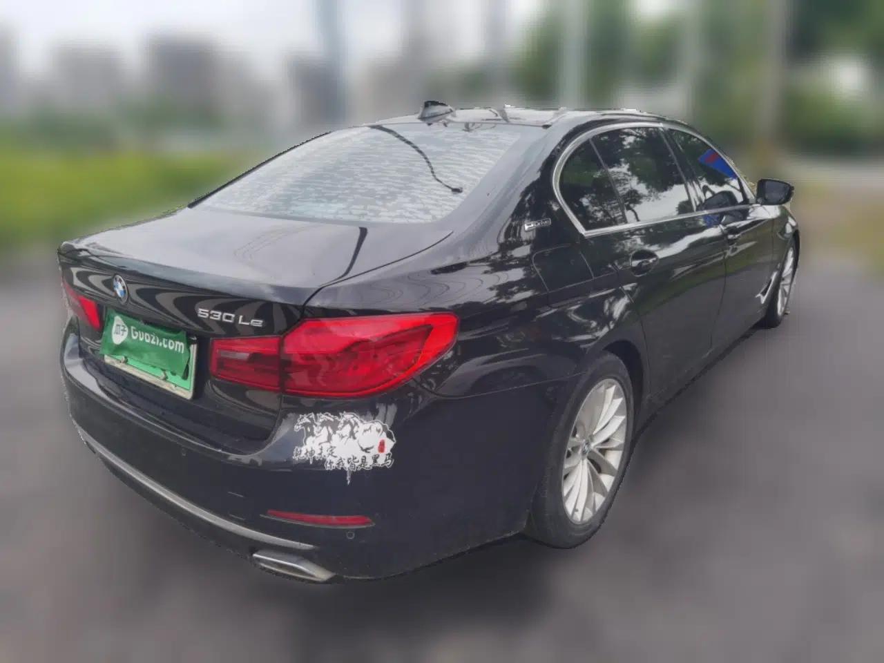 BMW 5 Series New Energy 2019 Updated Version 530Le Luxury Package — миниатюра 6