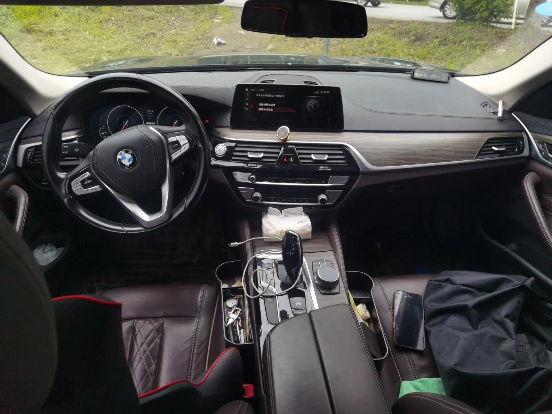 BMW 5 Series New Energy 2019 Updated Version 530Le Luxury Package — миниатюра 9