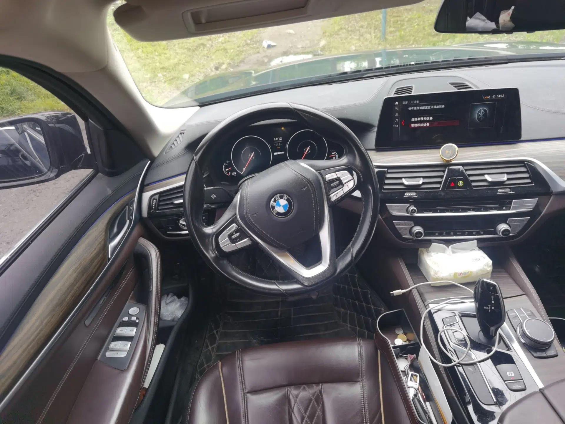 BMW 5 Series New Energy 2019 Updated Version 530Le Luxury Package — миниатюра 10