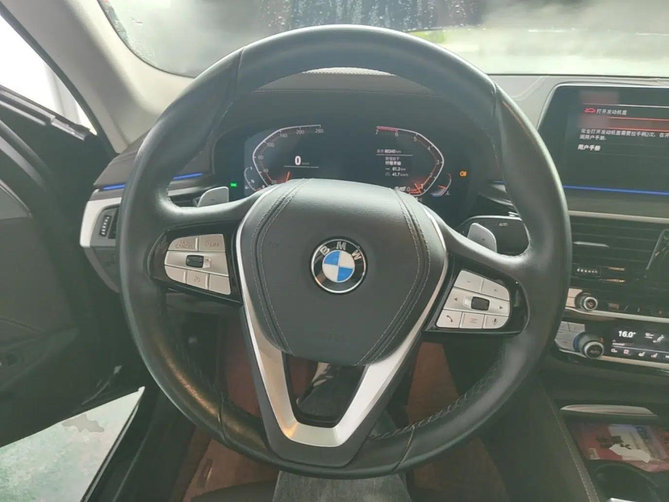 BMW 5 Series 2020 530Li Luxury Edition Premium Package — миниатюра 13