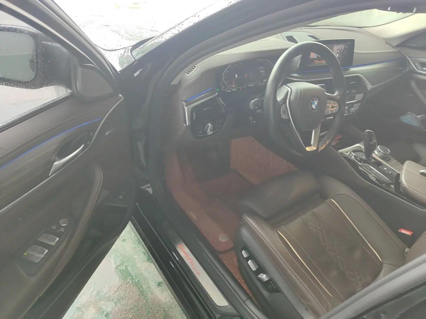 BMW 5 Series 2020 530Li Luxury Edition Premium Package — миниатюра 18