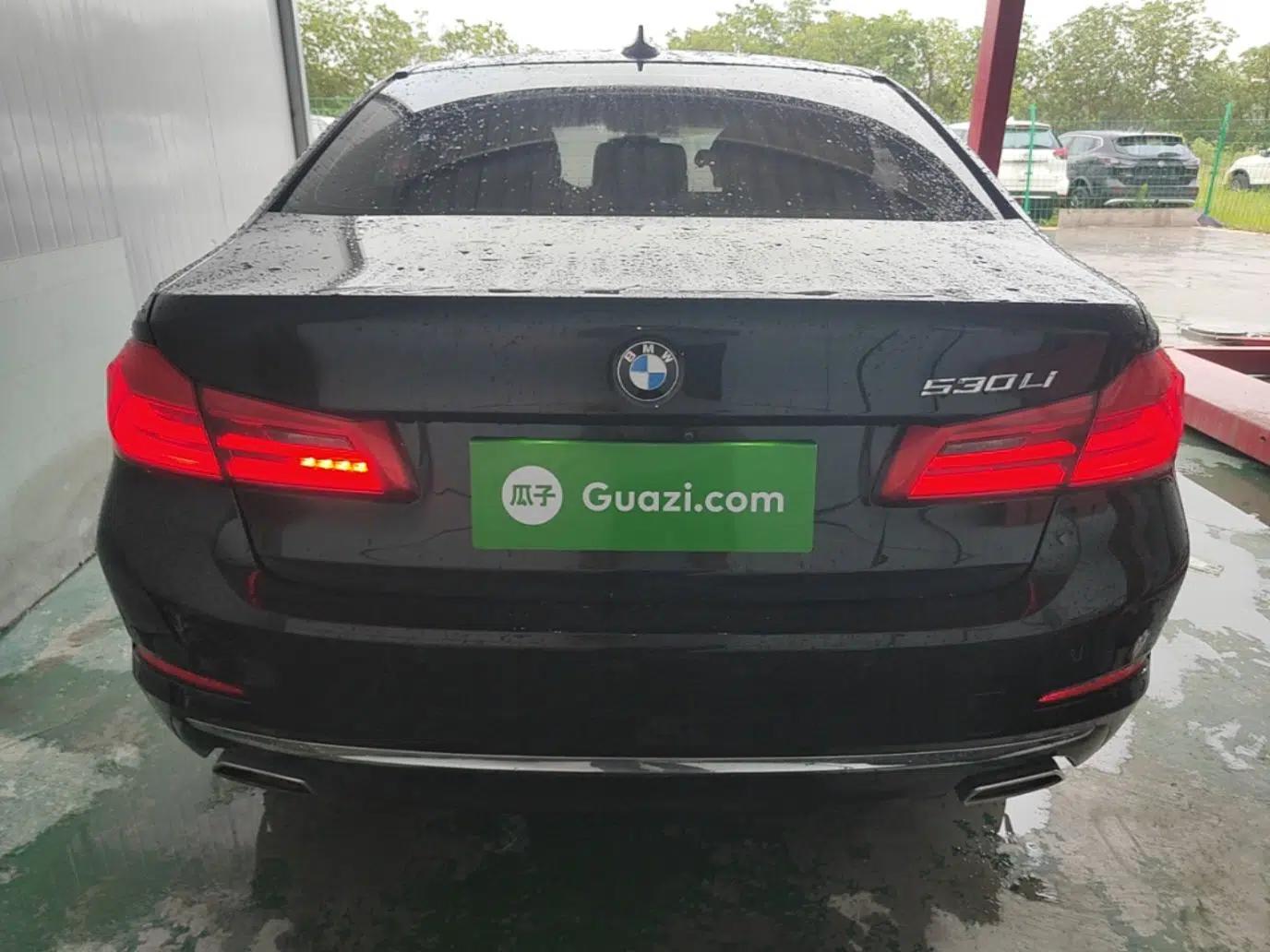 BMW 5 Series 2020 530Li Luxury Edition Premium Package — миниатюра 5