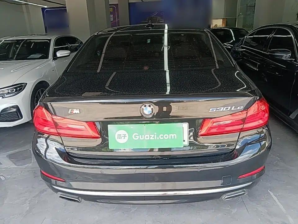 BMW 5 Series New Energy 2019 Updated 530Le Pioneer Edition — миниатюра 5