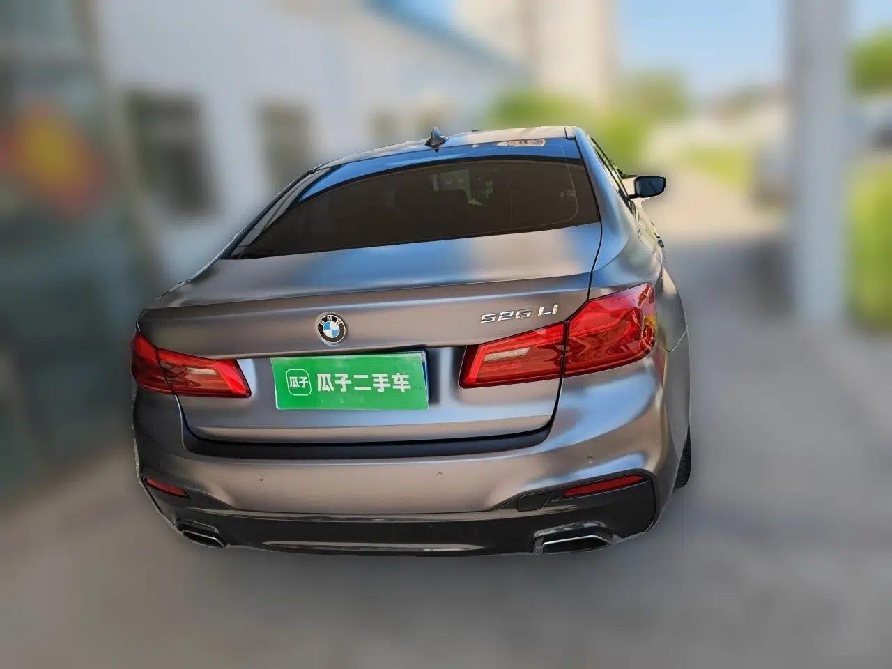 BMW 5 Series 2019 525Li M Sport Package — миниатюра 5