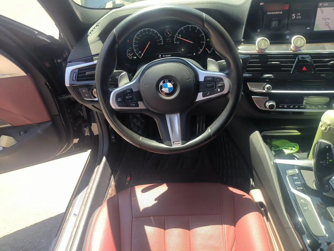 BMW 5 Series 2019 530Li Luxury Edition M Sport Package — миниатюра 10