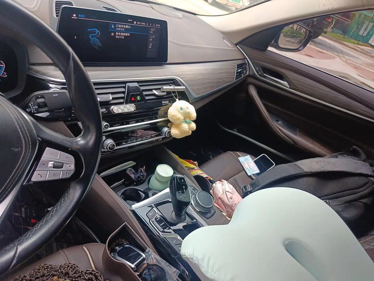 BMW 5 Series New Energy 2020 530Le Luxury Package — миниатюра 13