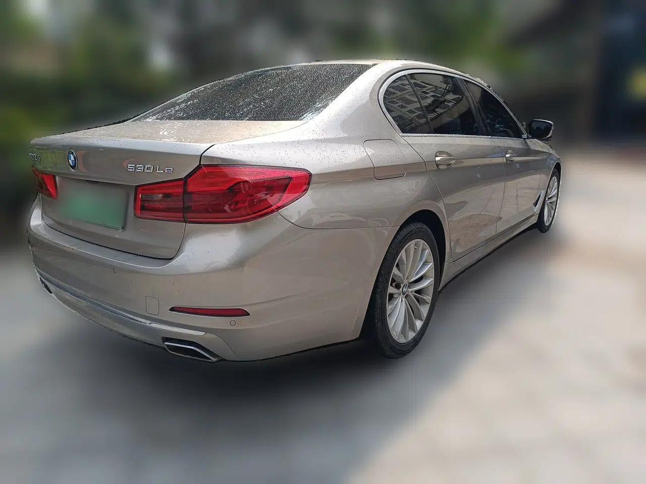 BMW 5 Series New Energy 2020 530Le Luxury Package — миниатюра 6