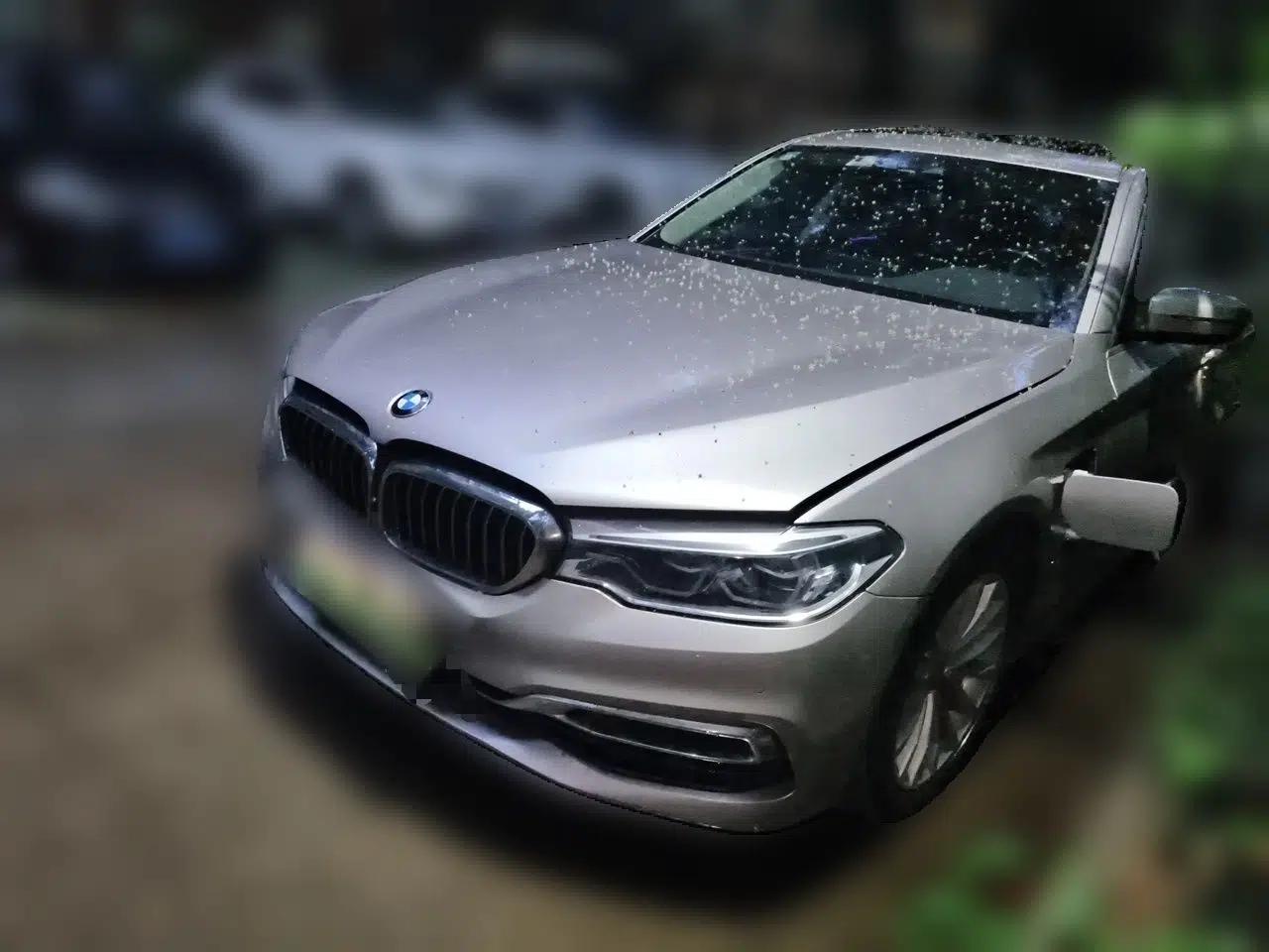 BMW 5 Series New Energy 2019 Updated Version 530Le Luxury Package — миниатюра 1