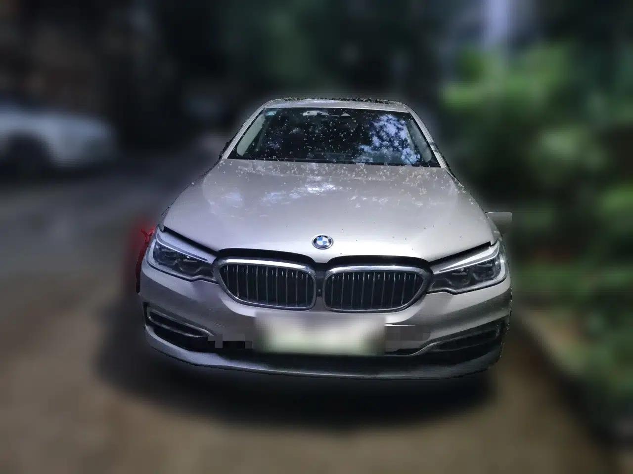 BMW 5 Series New Energy 2019 Updated Version 530Le Luxury Package — миниатюра 2