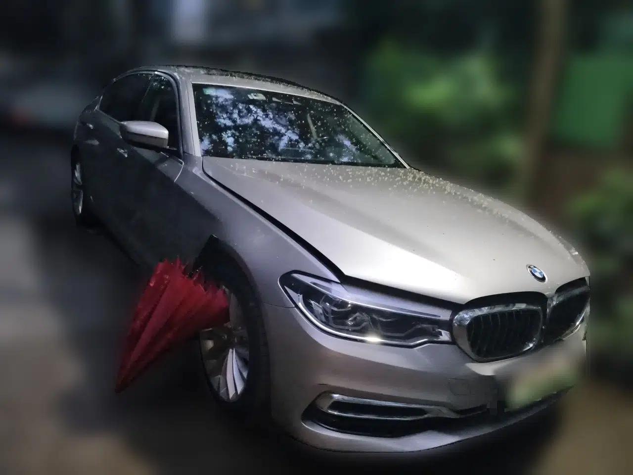 BMW 5 Series New Energy 2019 Updated Version 530Le Luxury Package — миниатюра 3