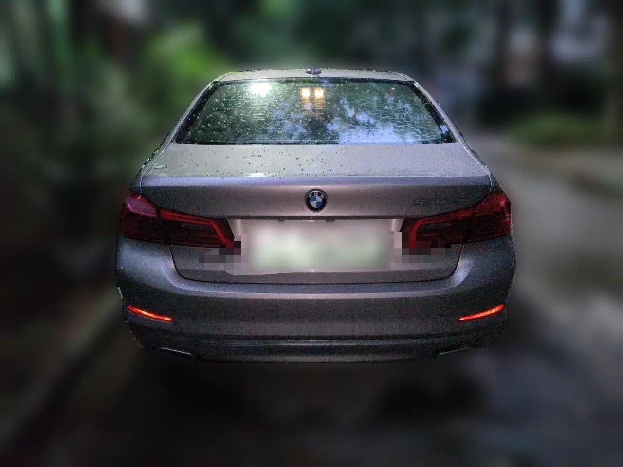 BMW 5 Series New Energy 2019 Updated Version 530Le Luxury Package — миниатюра 5