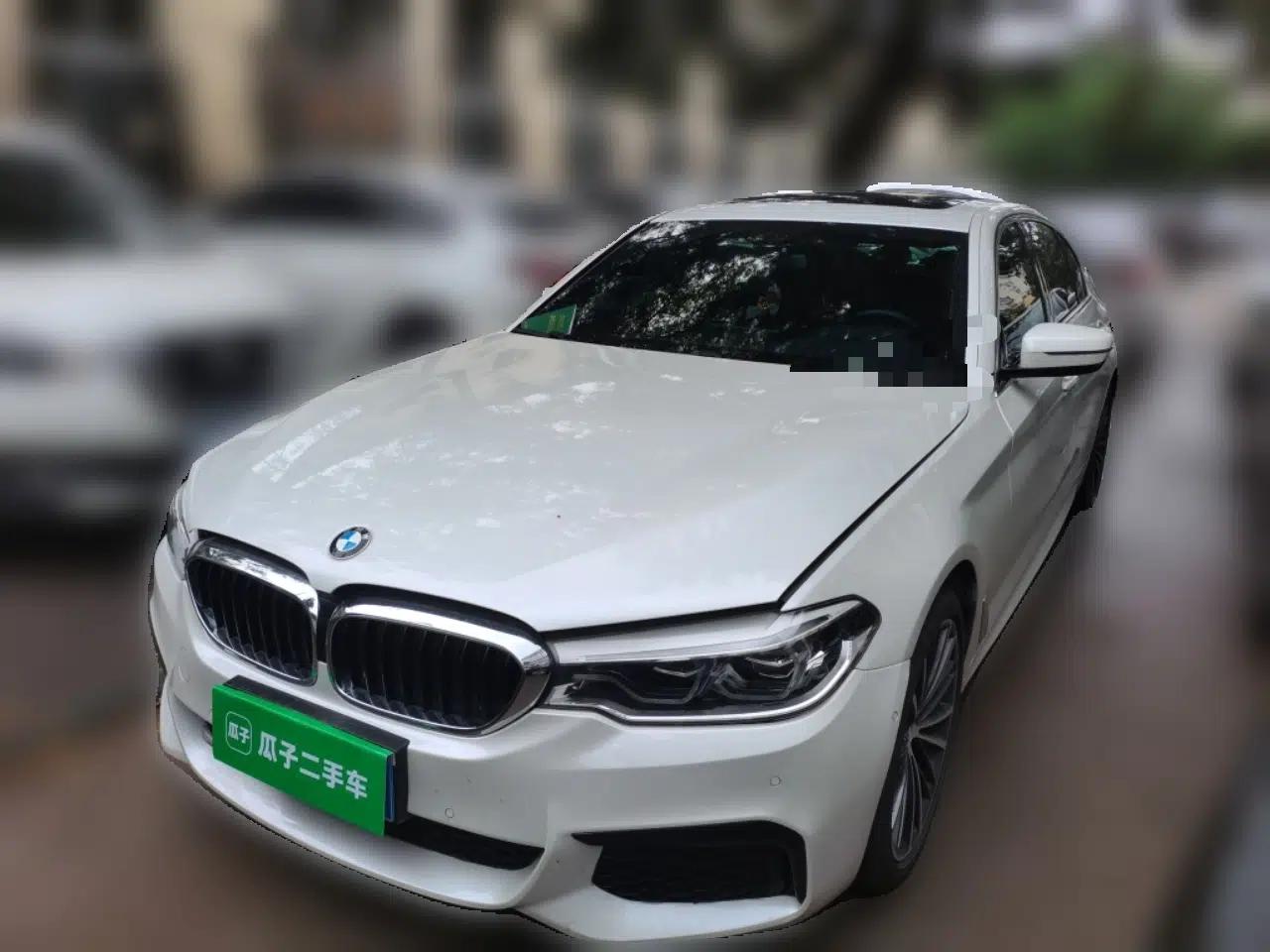 BMW 5 Series 2020 530Li xDrive M Sport Package — миниатюра 1