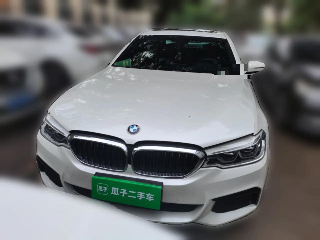 BMW 5 Series 2020 530Li xDrive M Sport Package — миниатюра 2