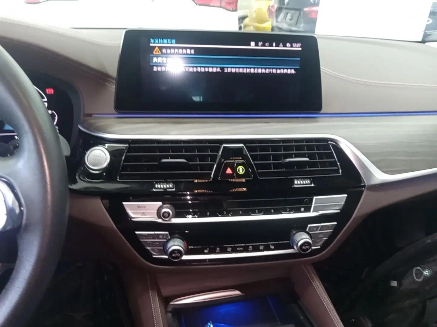 BMW 5 Series New Energy 2020 Mileage Upgrade Version 530Le Luxury Package — миниатюра 15