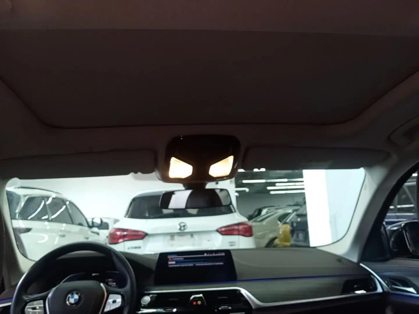 BMW 5 Series New Energy 2020 Mileage Upgrade Version 530Le Luxury Package — миниатюра 21