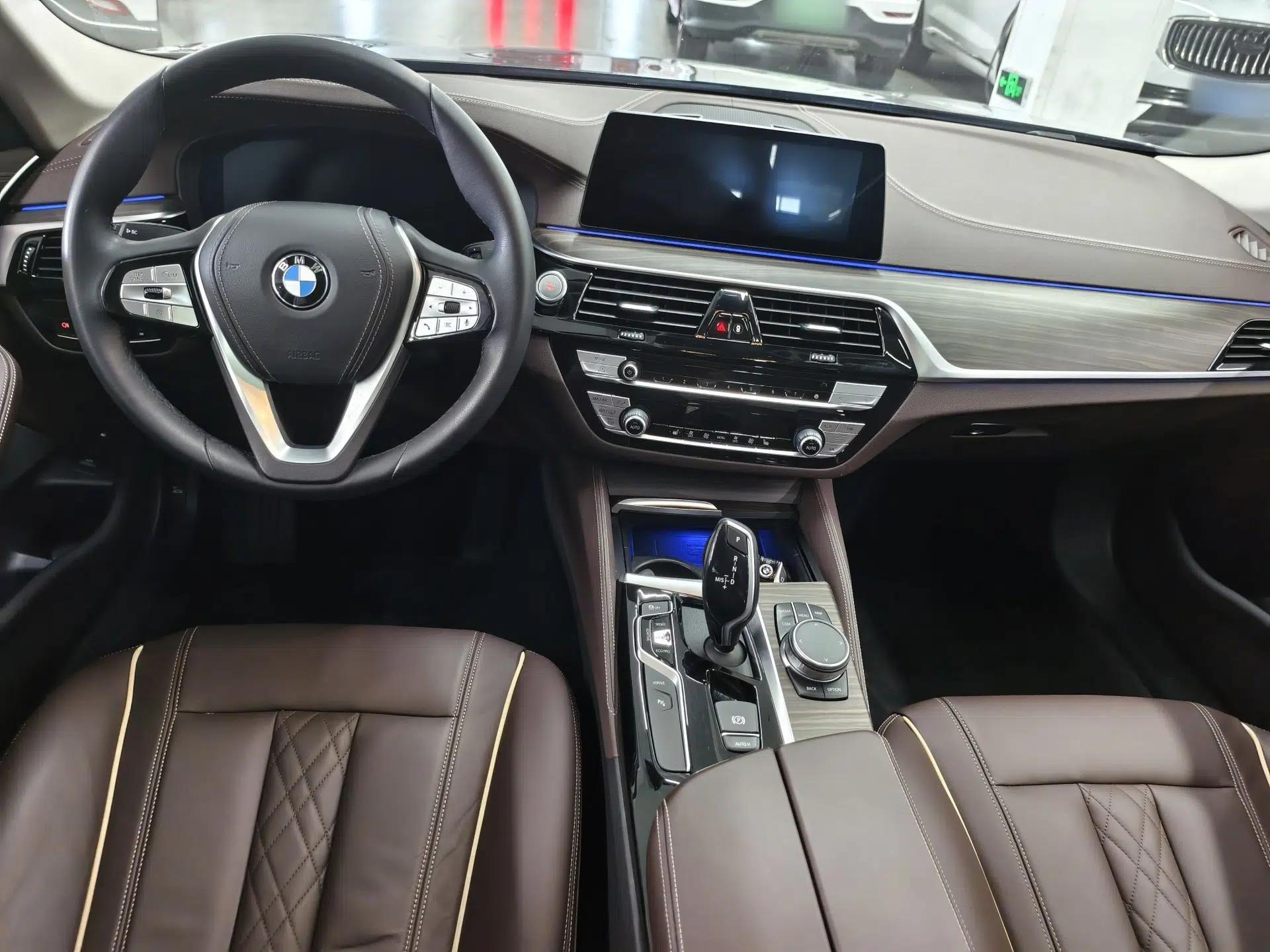 BMW 5 Series New Energy 2020 Mileage Upgrade Version 530Le Luxury Package — миниатюра 26
