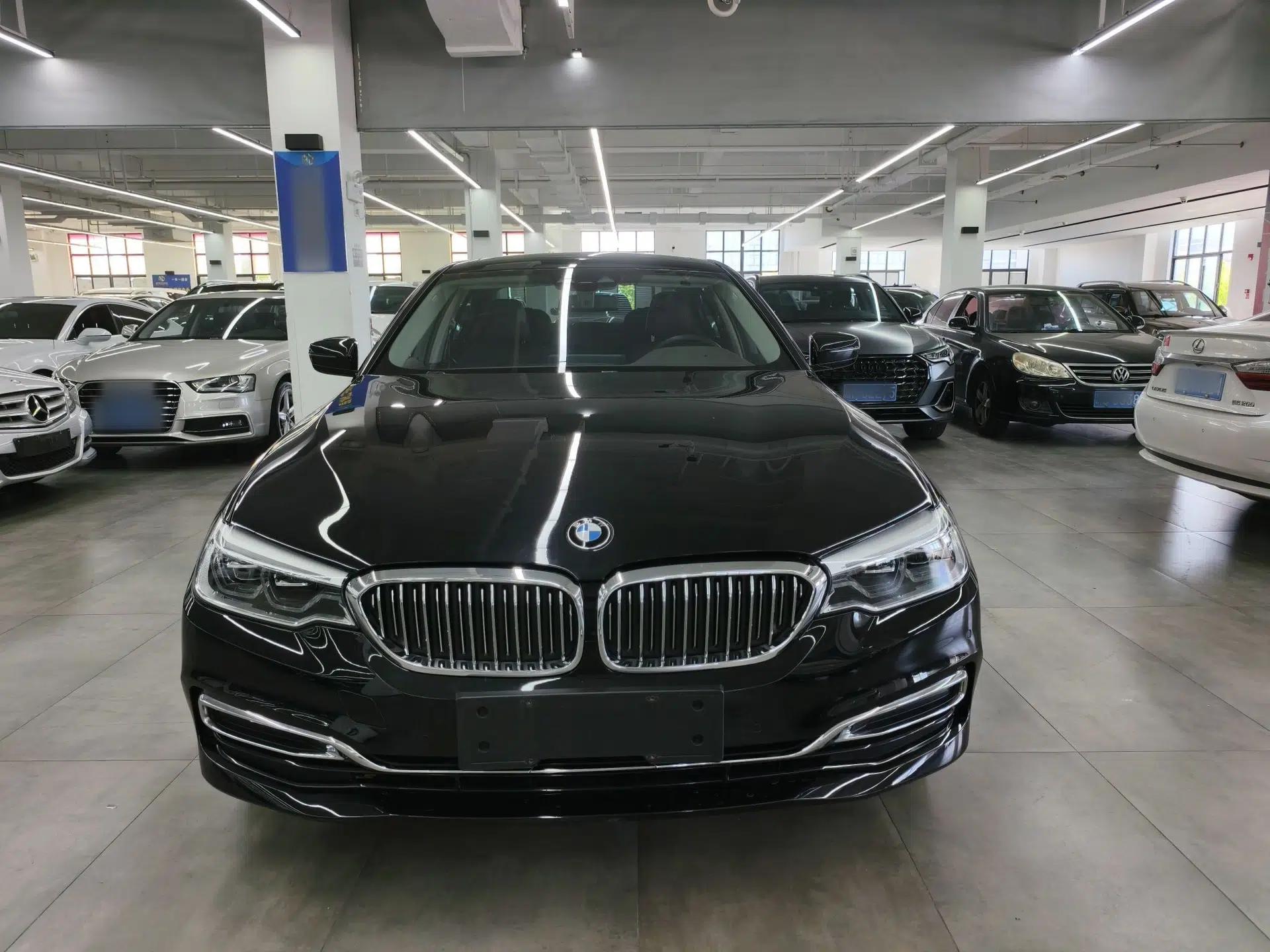 BMW 5 Series New Energy 2020 Mileage Upgrade Version 530Le Luxury Package — миниатюра 7
