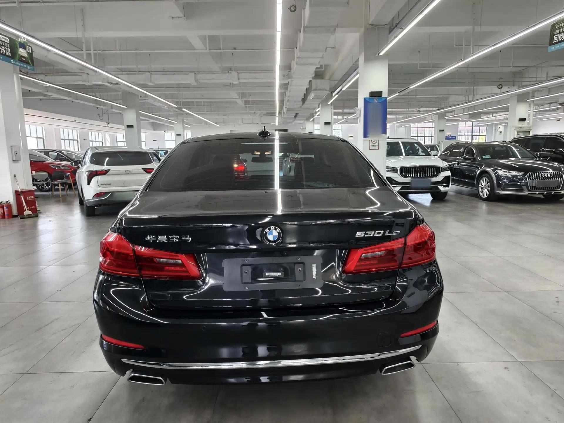 BMW 5 Series New Energy 2020 Mileage Upgrade Version 530Le Luxury Package — миниатюра 10