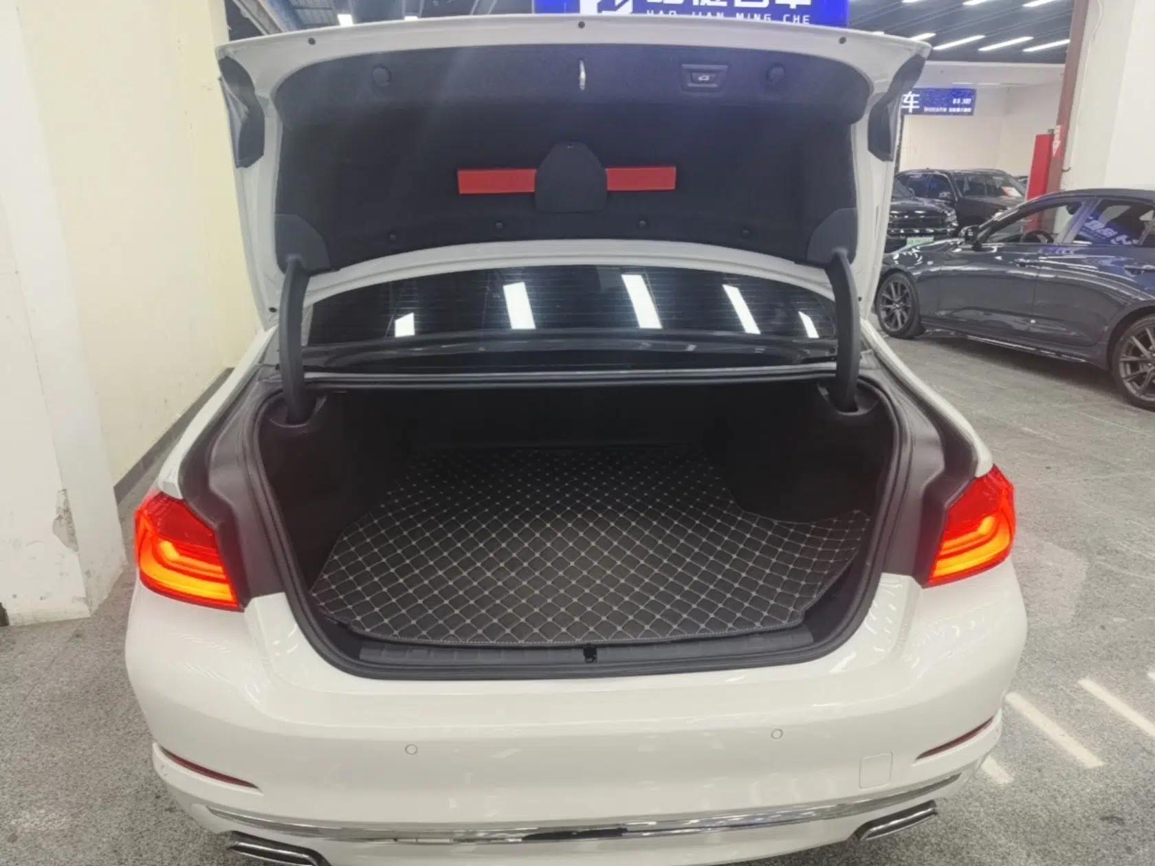 BMW 5 Series New Energy 2020 Mileage Upgrade Version 530Le Luxury Package — миниатюра 22