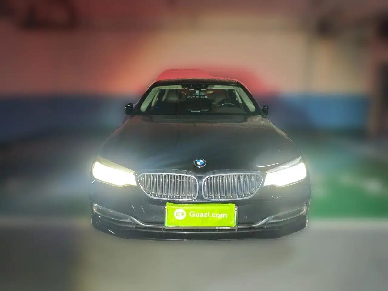 BMW 5 Series New Energy 2020 Mileage Upgrade Version 530Le Luxury Package — миниатюра 2