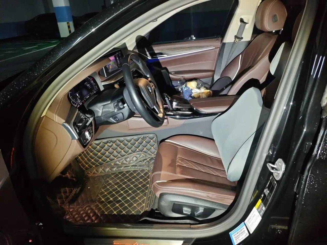 BMW 5 Series New Energy 2020 Mileage Upgrade Version 530Le Luxury Package — миниатюра 15