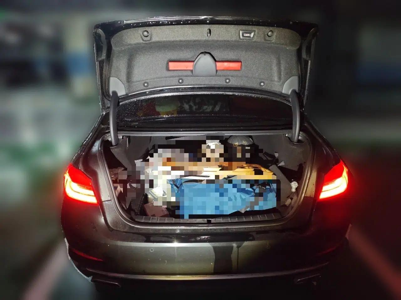 BMW 5 Series New Energy 2020 Mileage Upgrade Version 530Le Luxury Package — миниатюра 19