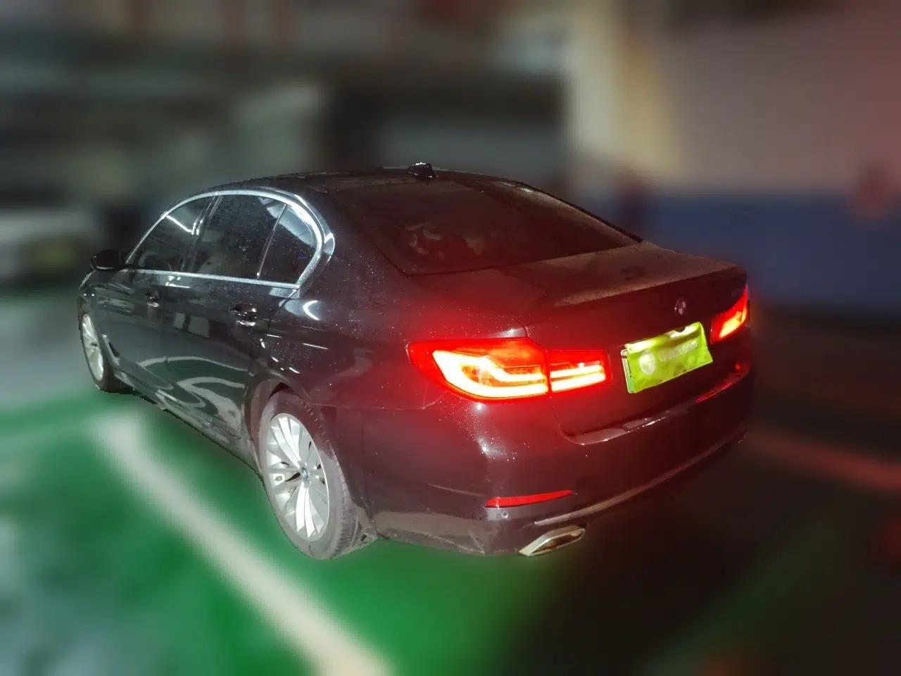 BMW 5 Series New Energy 2020 Mileage Upgrade Version 530Le Luxury Package — миниатюра 4