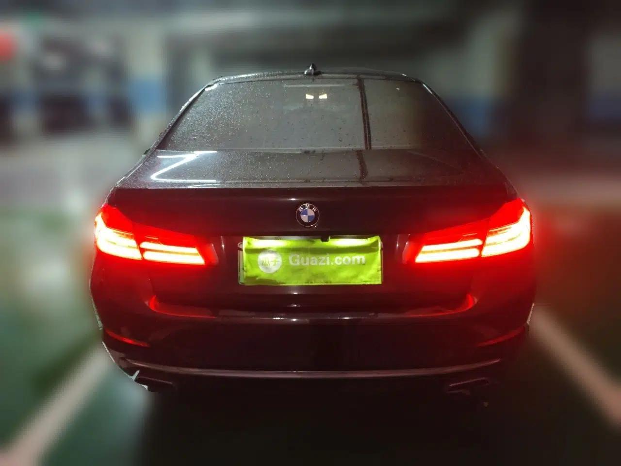 BMW 5 Series New Energy 2020 Mileage Upgrade Version 530Le Luxury Package — миниатюра 5