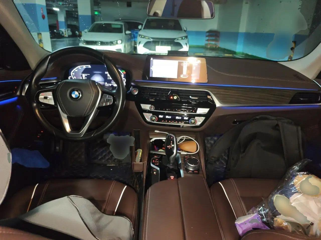 BMW 5 Series New Energy 2020 Mileage Upgrade Version 530Le Luxury Package — миниатюра 9
