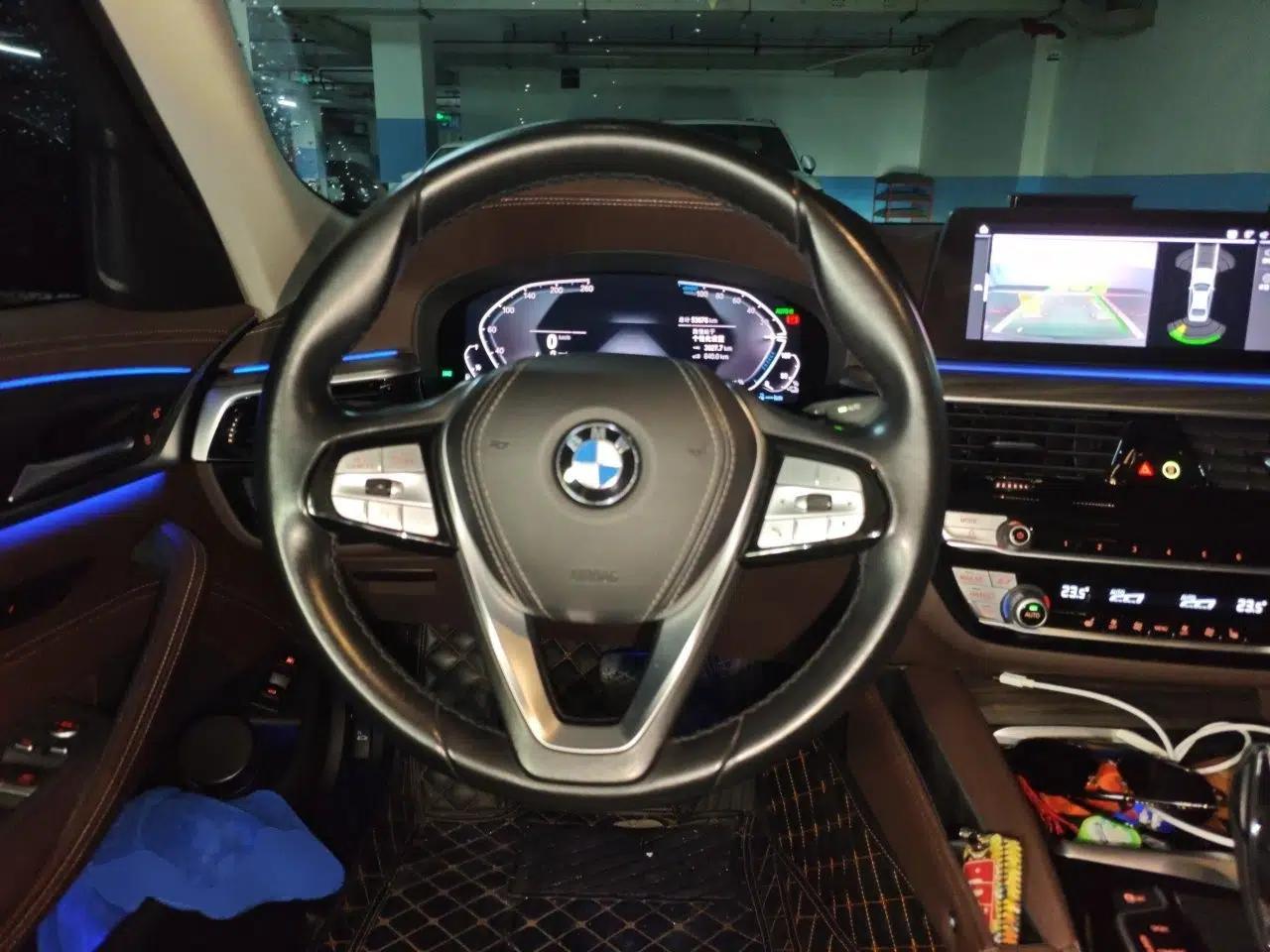 BMW 5 Series New Energy 2020 Mileage Upgrade Version 530Le Luxury Package — миниатюра 10