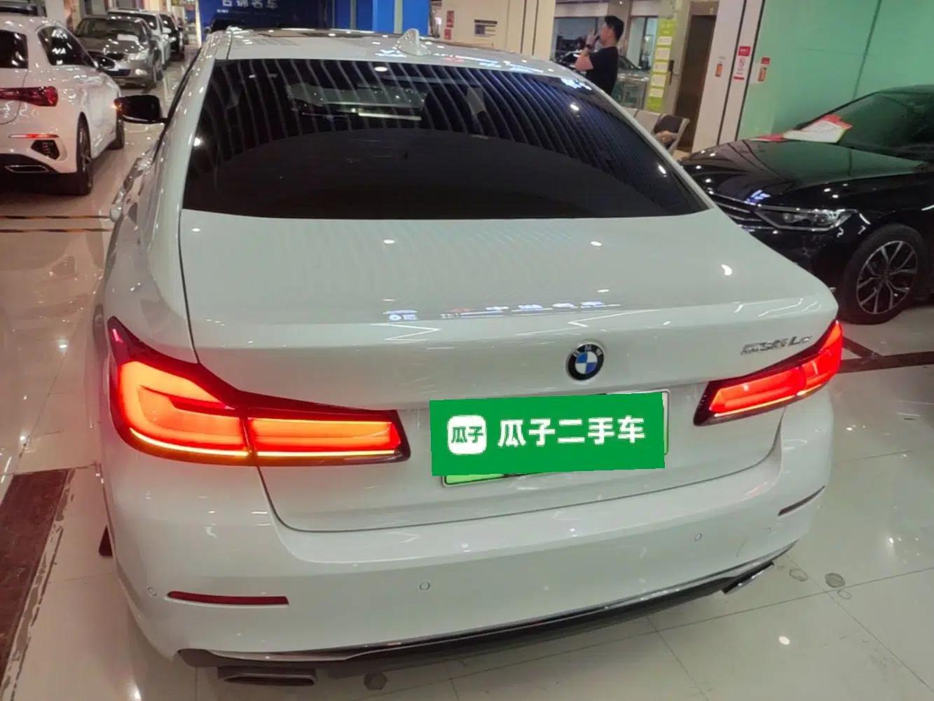 BMW 5 Series New Energy 2021 535Le Luxury Package — миниатюра 5