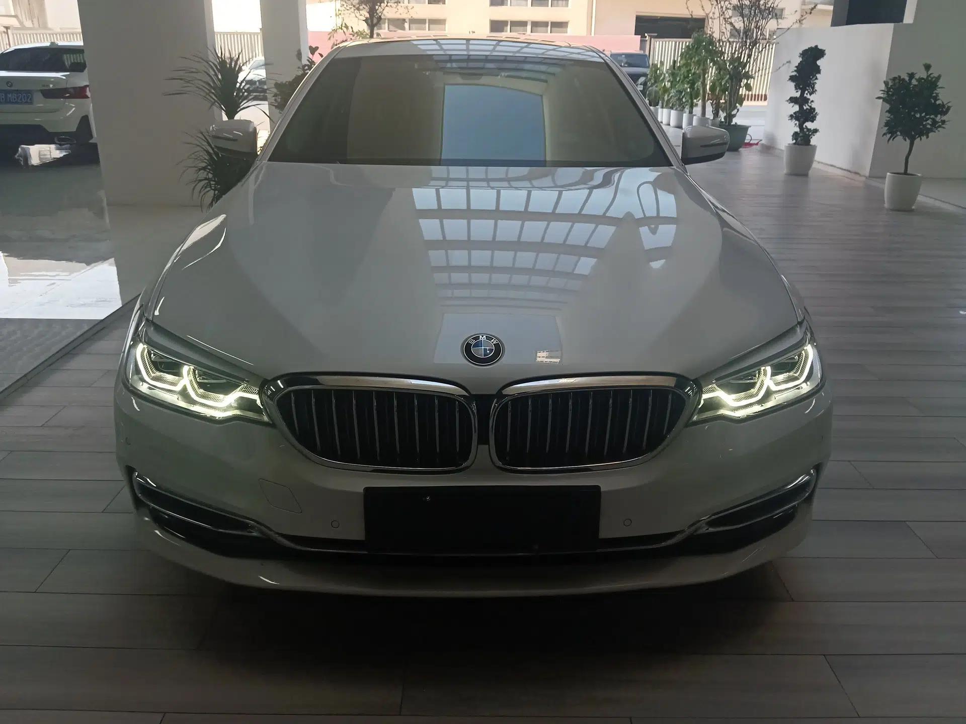 BMW 5 Series New Energy 2019 Updated Version 530Le Luxury Package — миниатюра 2