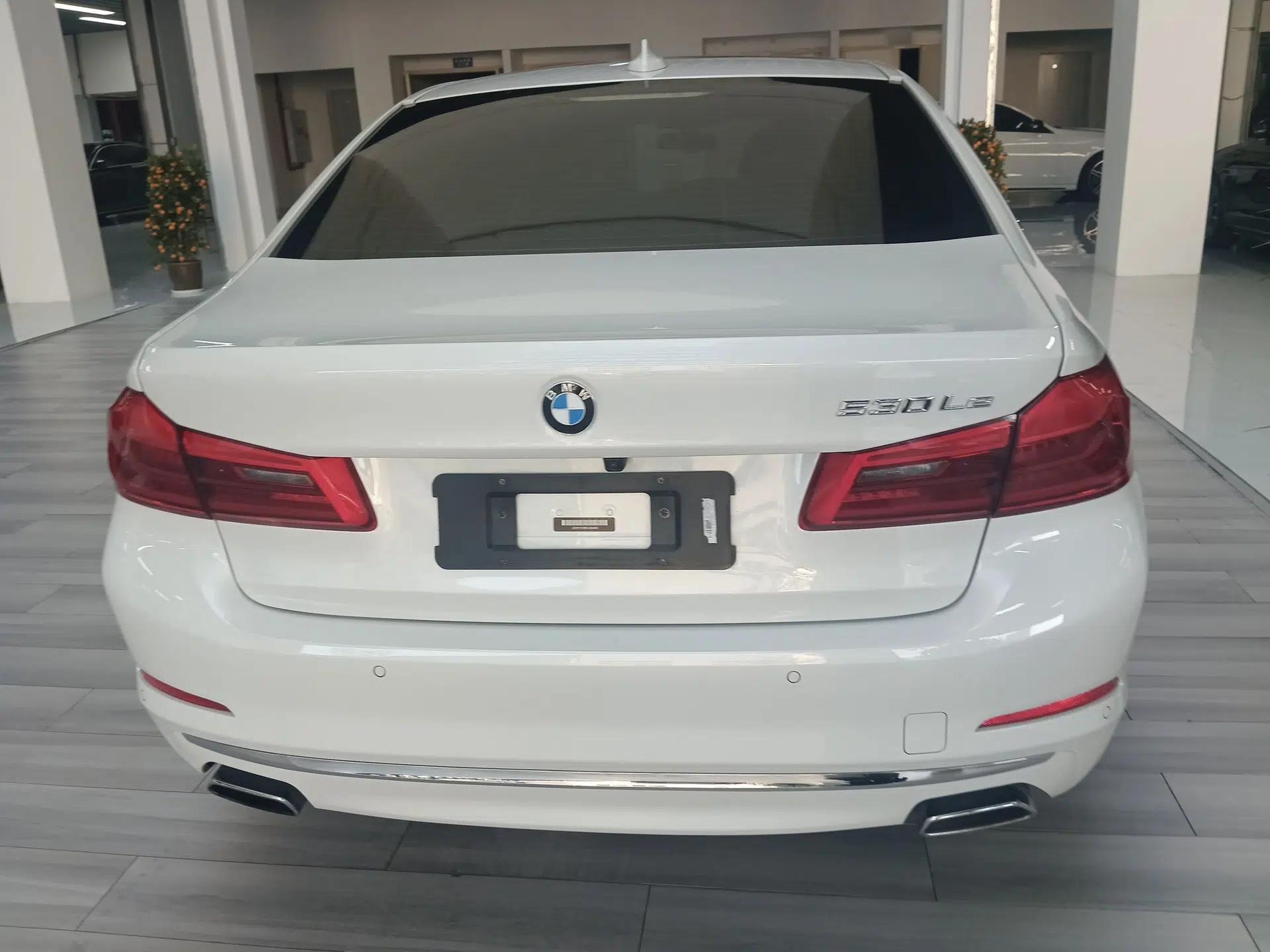 BMW 5 Series New Energy 2019 Updated Version 530Le Luxury Package — миниатюра 5