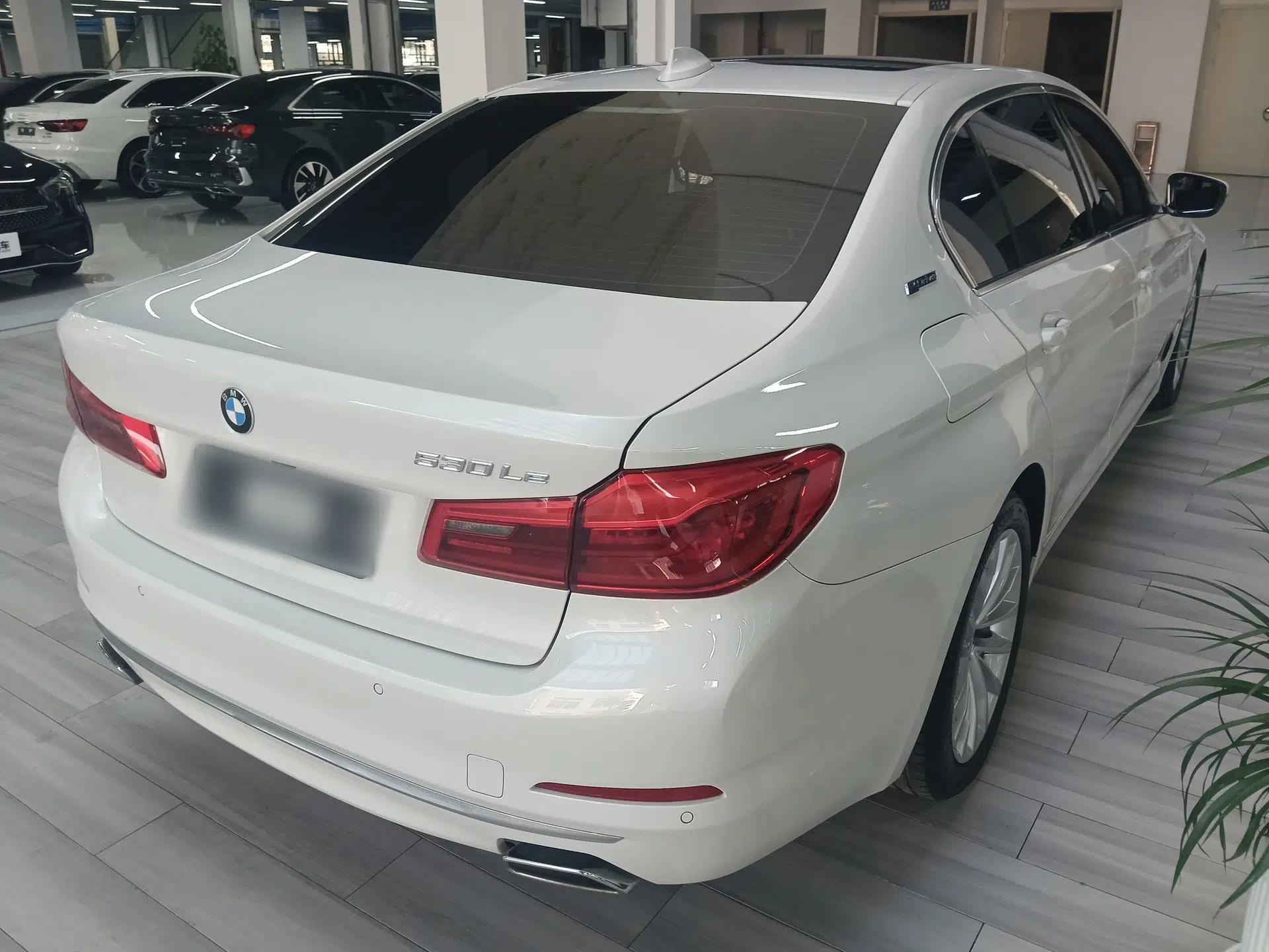 BMW 5 Series New Energy 2019 Updated Version 530Le Luxury Package — миниатюра 6