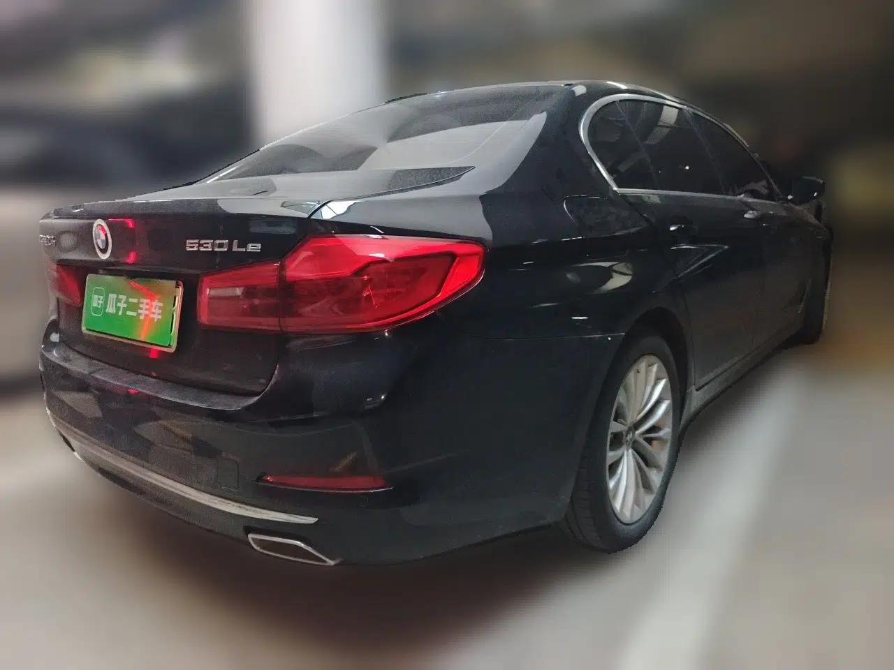 BMW 5 Series New Energy 2020 Mileage Upgrade Version 530Le Luxury Package — миниатюра 6