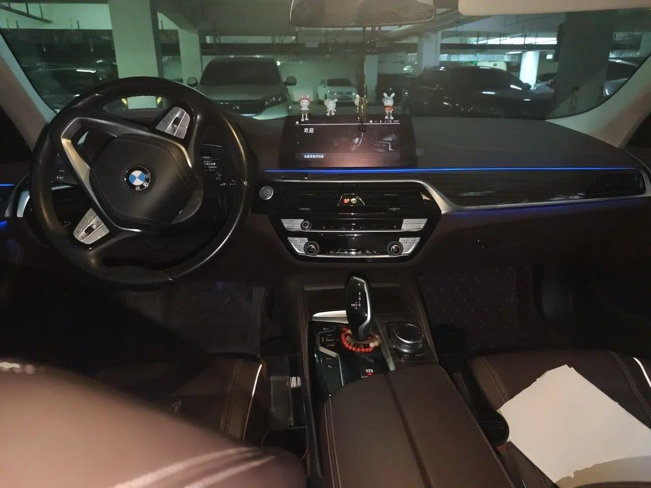 BMW 5 Series New Energy 2020 Mileage Upgrade Version 530Le Luxury Package — миниатюра 9