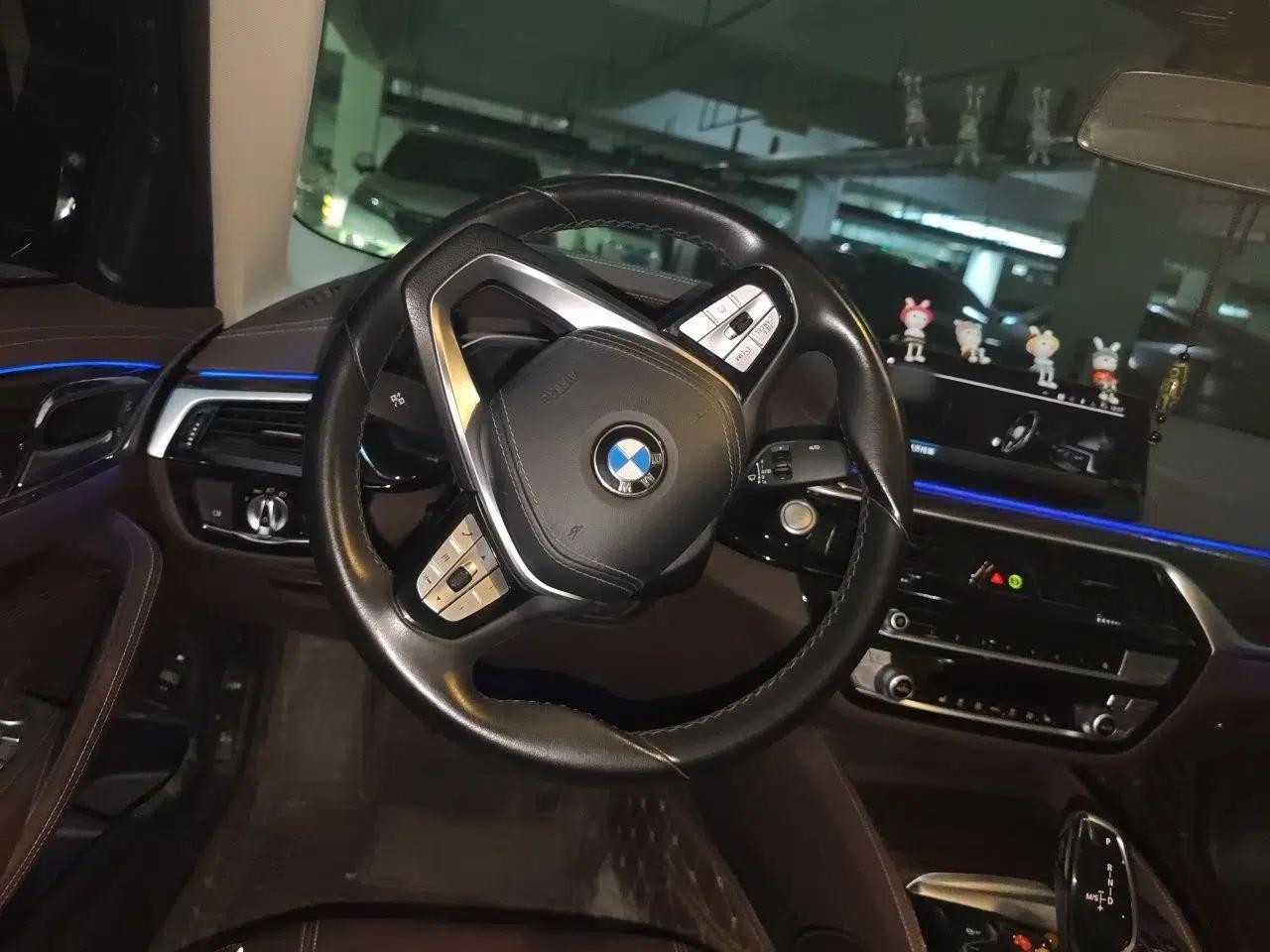 BMW 5 Series New Energy 2020 Mileage Upgrade Version 530Le Luxury Package — миниатюра 10