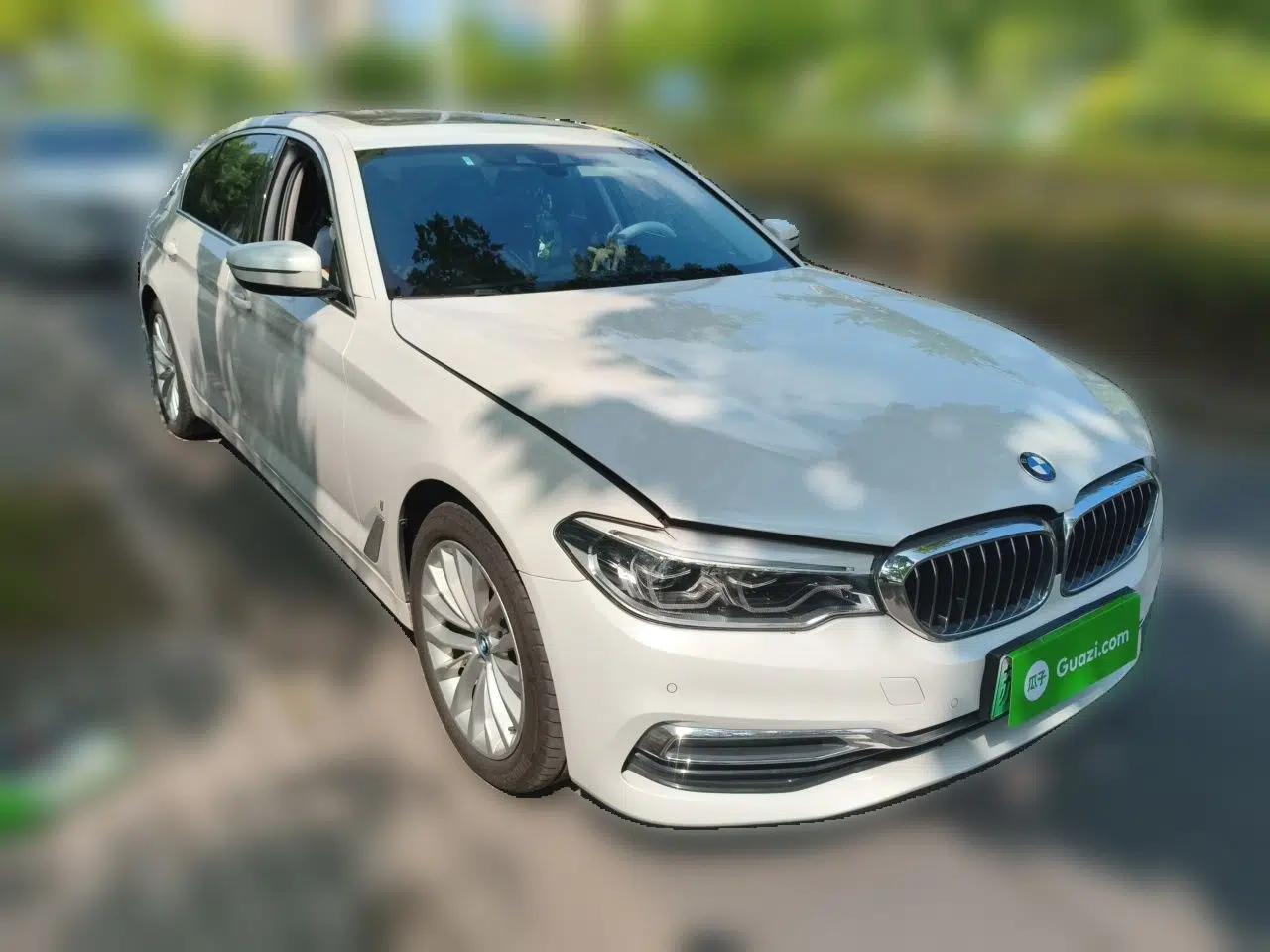 BMW 5 Series New Energy 2019 530Le Luxury Package — миниатюра 3