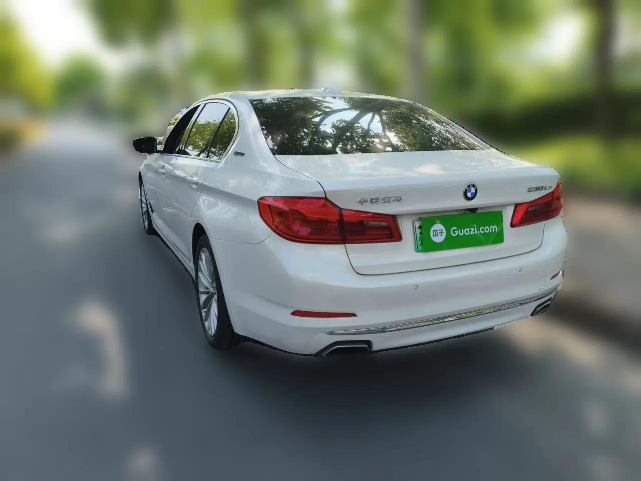BMW 5 Series New Energy 2019 530Le Luxury Package — миниатюра 4