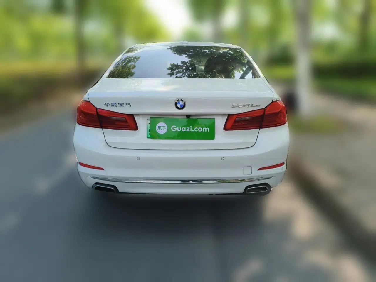 BMW 5 Series New Energy 2019 530Le Luxury Package — миниатюра 5