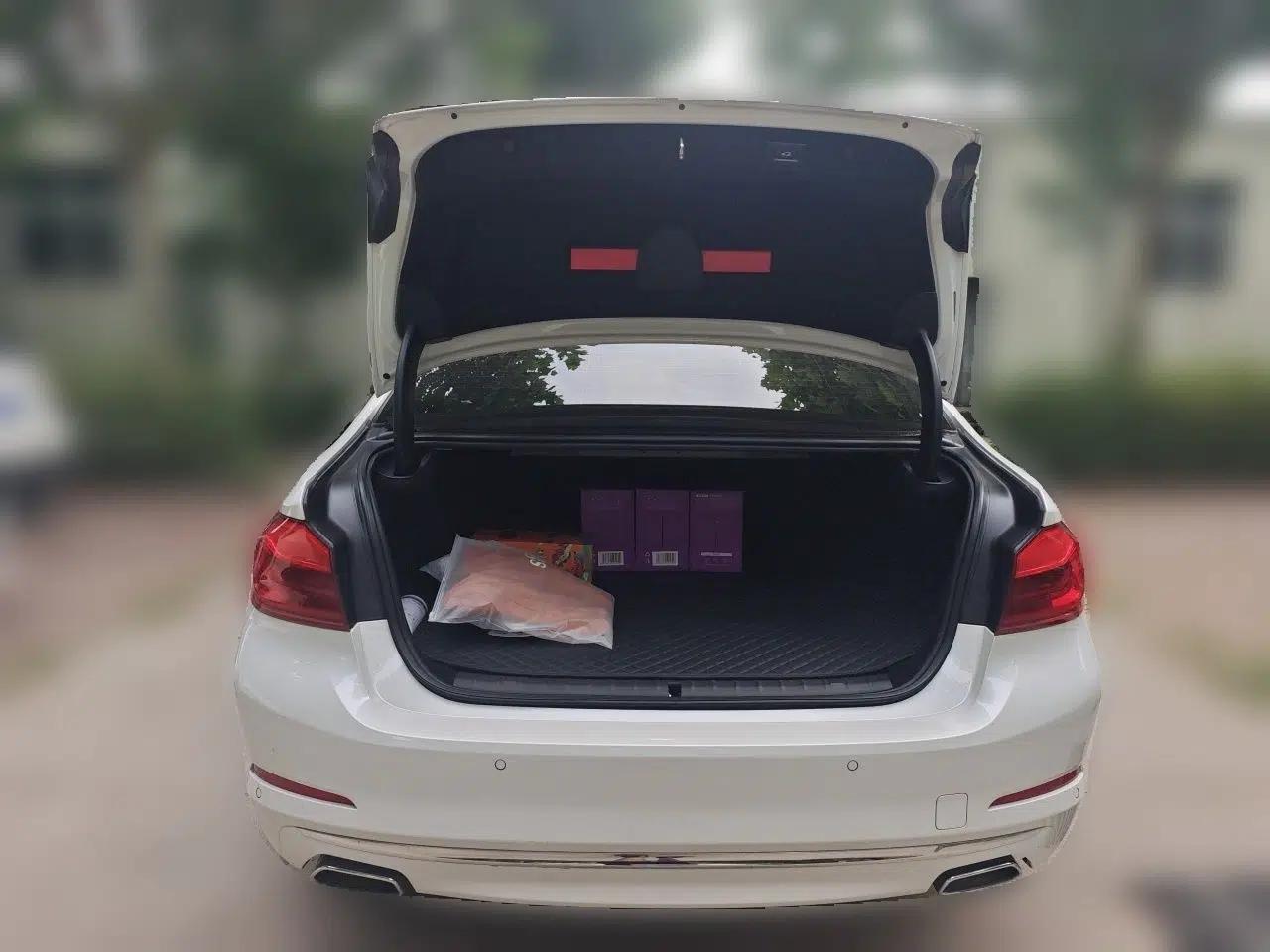 BMW 5 Series New Energy 2020 Mileage Upgrade Version 530Le Pioneer Edition — миниатюра 19