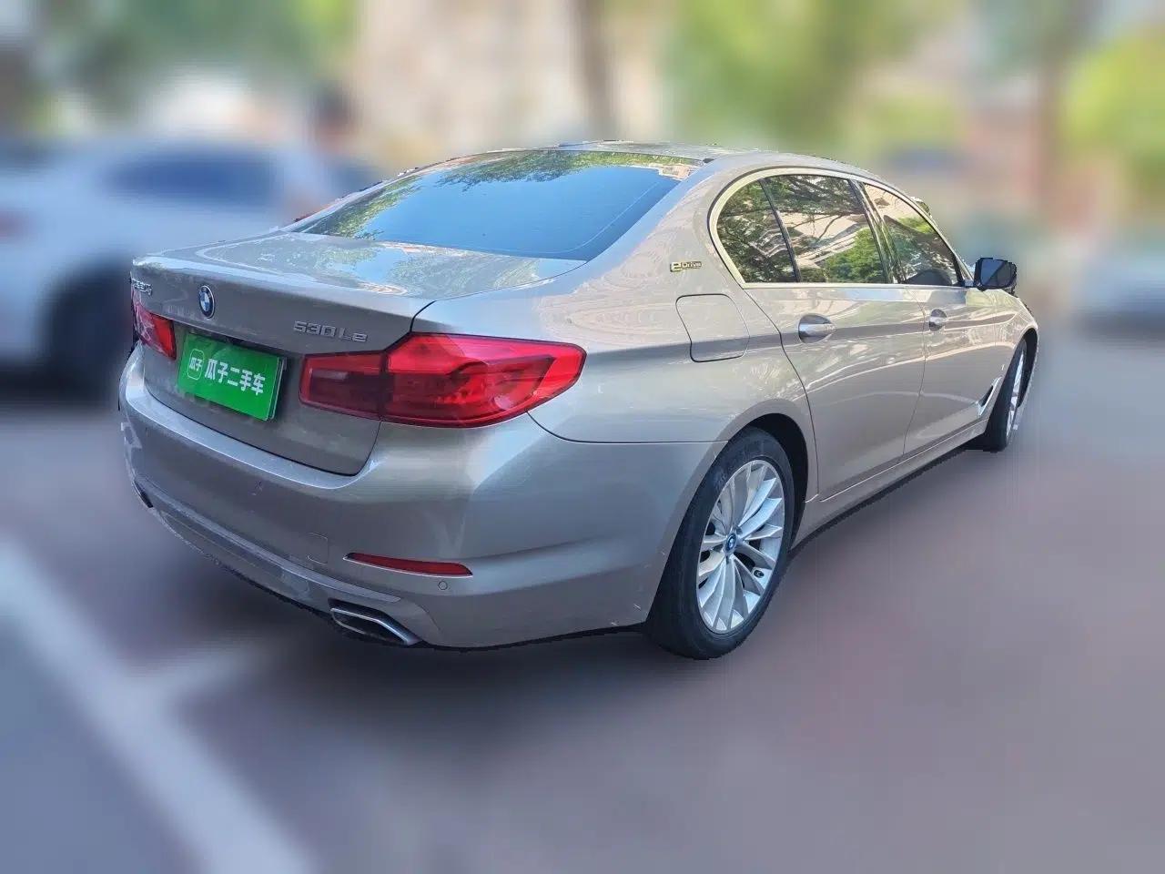 BMW 5 Series New Energy 2019 Updated 530Le Pioneer Edition — миниатюра 6
