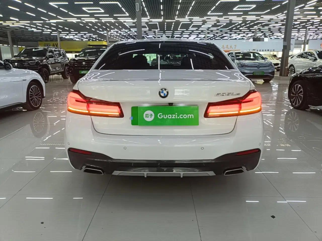 BMW 5 Series New Energy 2021 535Le Pioneer Edition M Sport Package — миниатюра 5