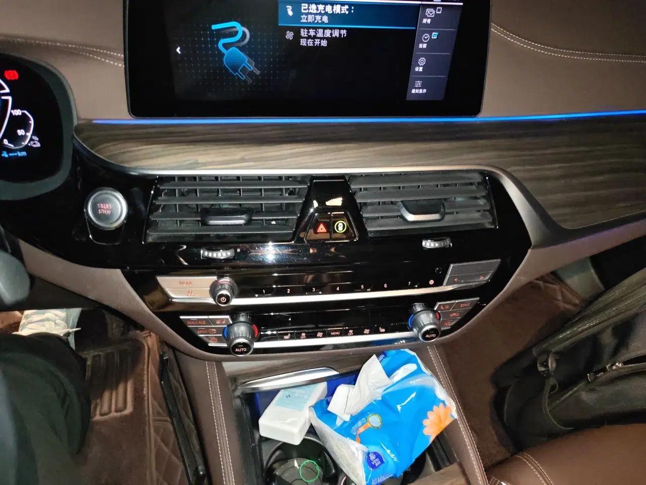 BMW 5 Series New Energy 2020 Mileage Upgrade Version 530Le Luxury Package — миниатюра 13