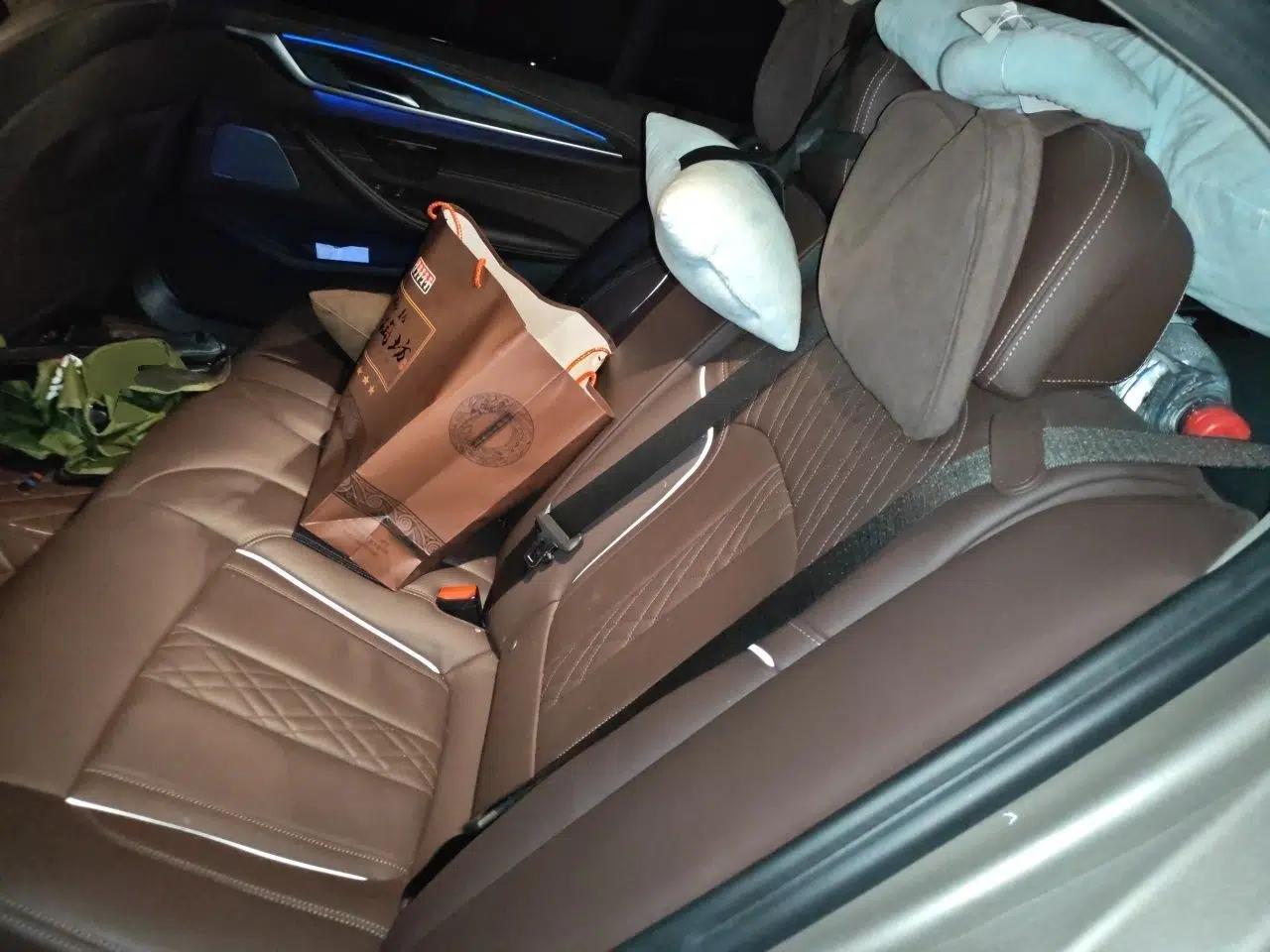 BMW 5 Series New Energy 2020 Mileage Upgrade Version 530Le Luxury Package — миниатюра 17