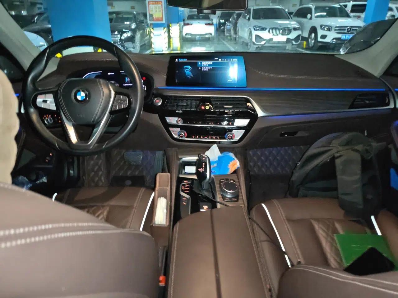 BMW 5 Series New Energy 2020 Mileage Upgrade Version 530Le Luxury Package — миниатюра 9