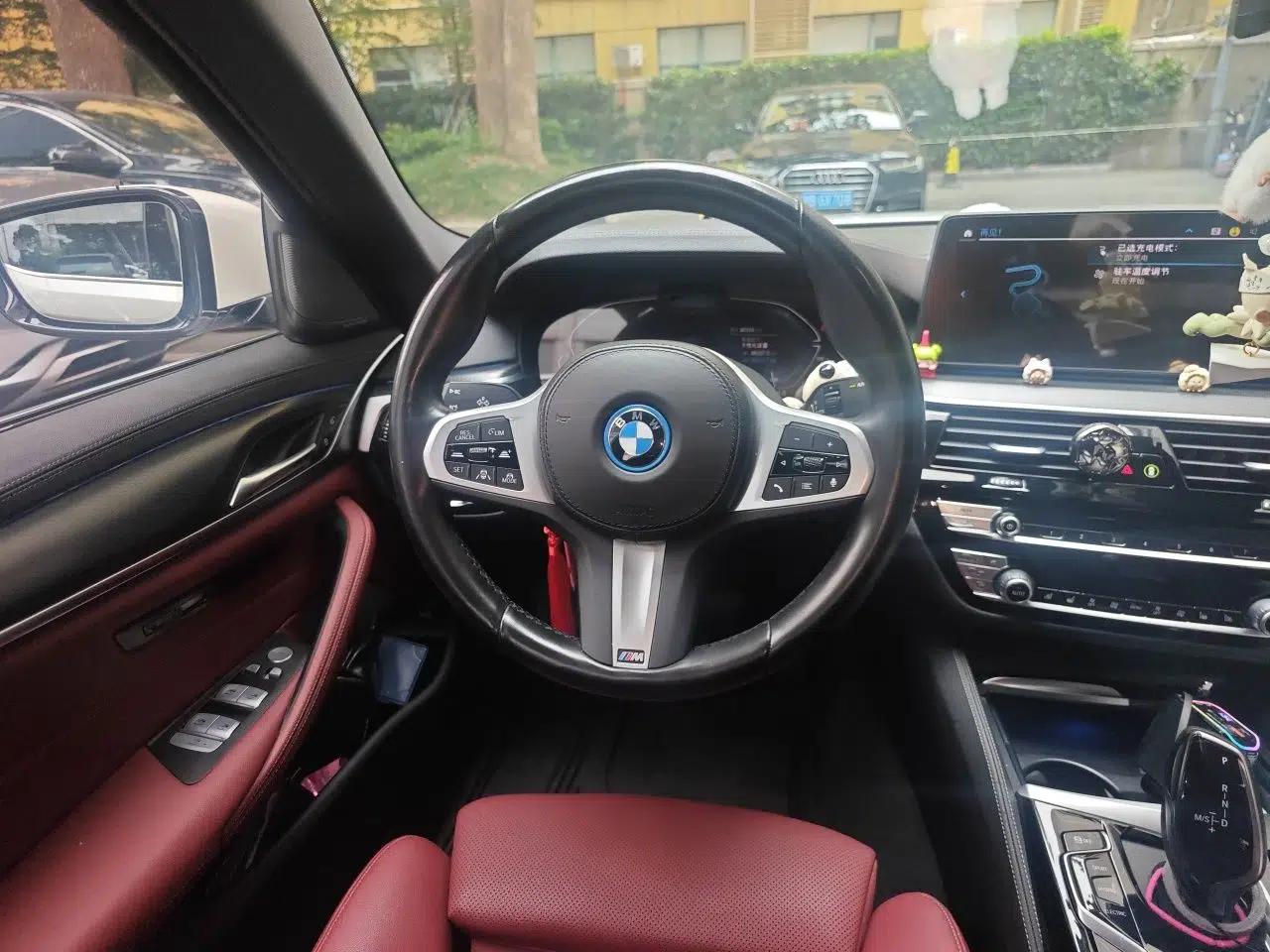 BMW 5 Series New Energy 2022 Second Facelift 535Le Pioneer Edition M Sport Package — миниатюра 10
